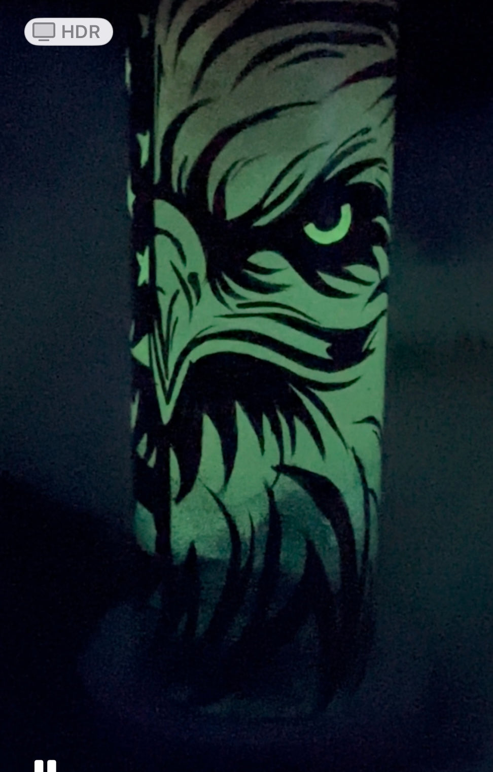 One-of-a-Kind Hand-Painted Tumbler